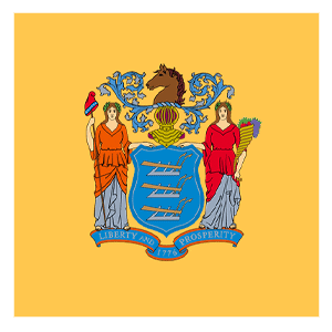 New Jersey flag icon